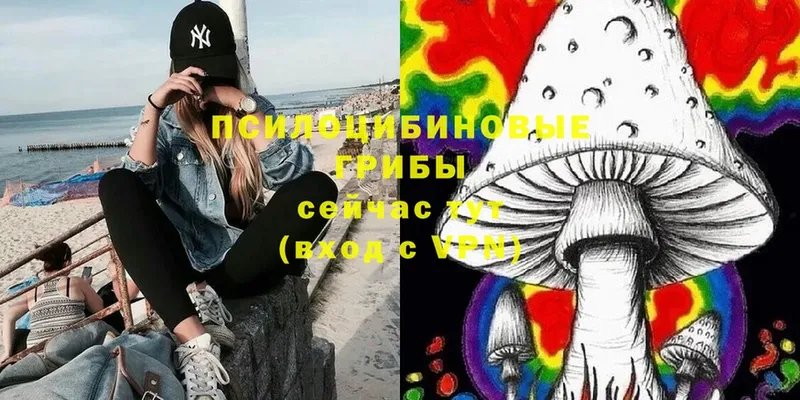 Галлюциногенные грибы Magic Shrooms  Заречный 